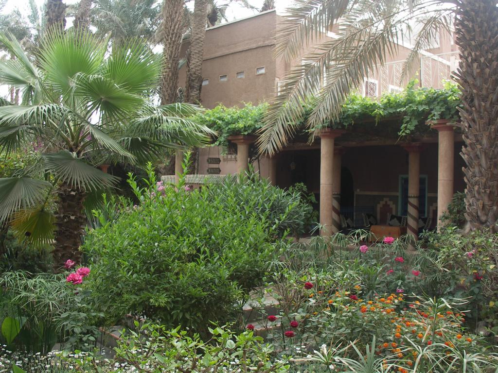 Fibule Du Draa Kasbah D'Hotes Zakura Zewnętrze zdjęcie