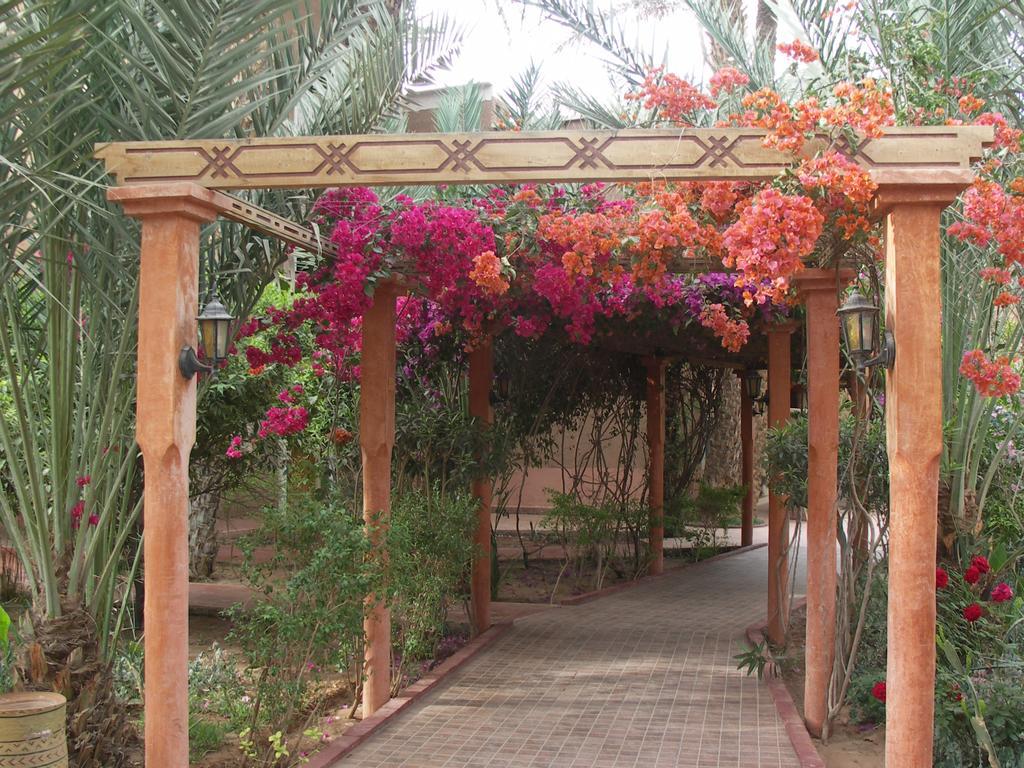 Fibule Du Draa Kasbah D'Hotes Zakura Zewnętrze zdjęcie