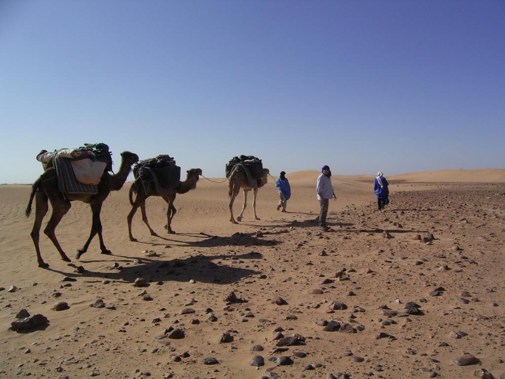 Fibule Du Draa Kasbah D'Hotes Zakura Zewnętrze zdjęcie