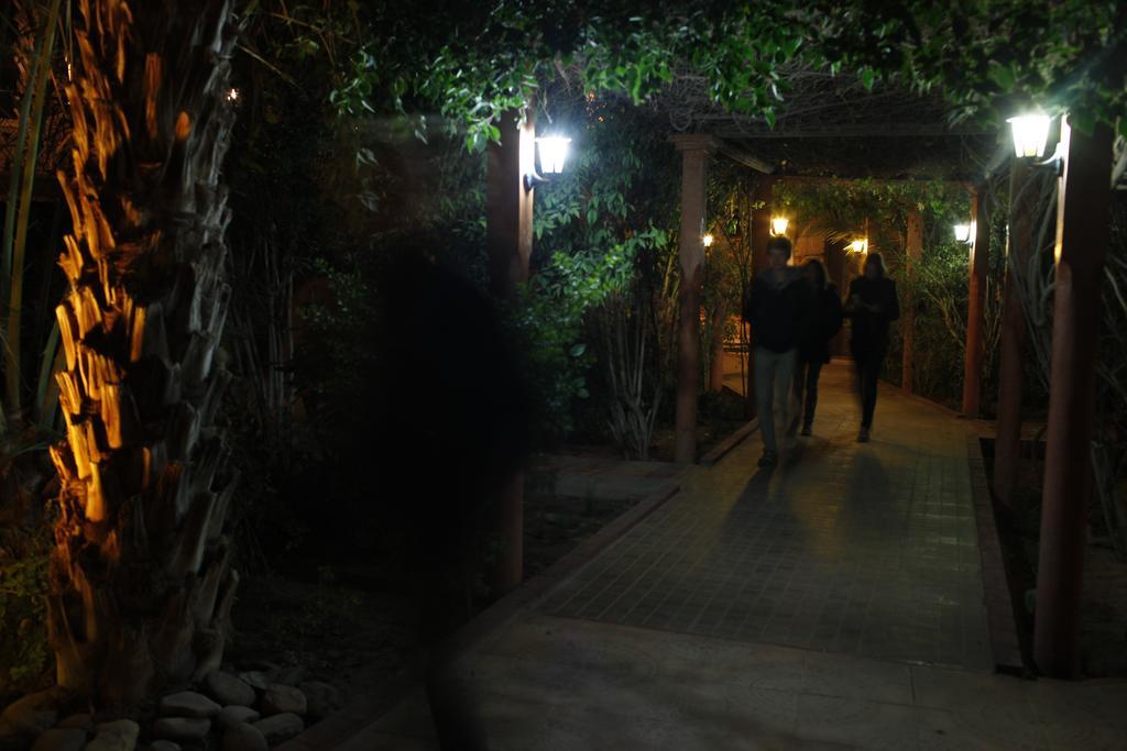 Fibule Du Draa Kasbah D'Hotes Zakura Zewnętrze zdjęcie