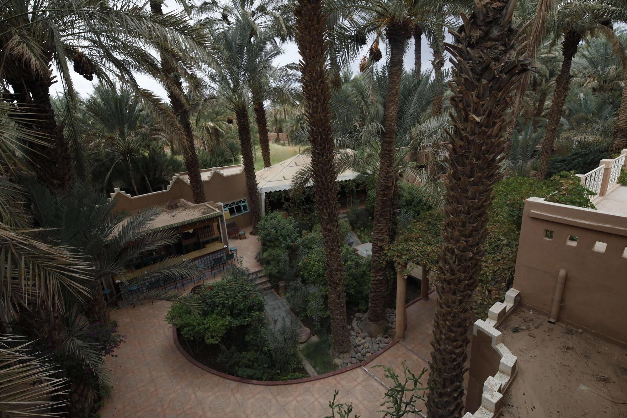 Fibule Du Draa Kasbah D'Hotes Zakura Zewnętrze zdjęcie