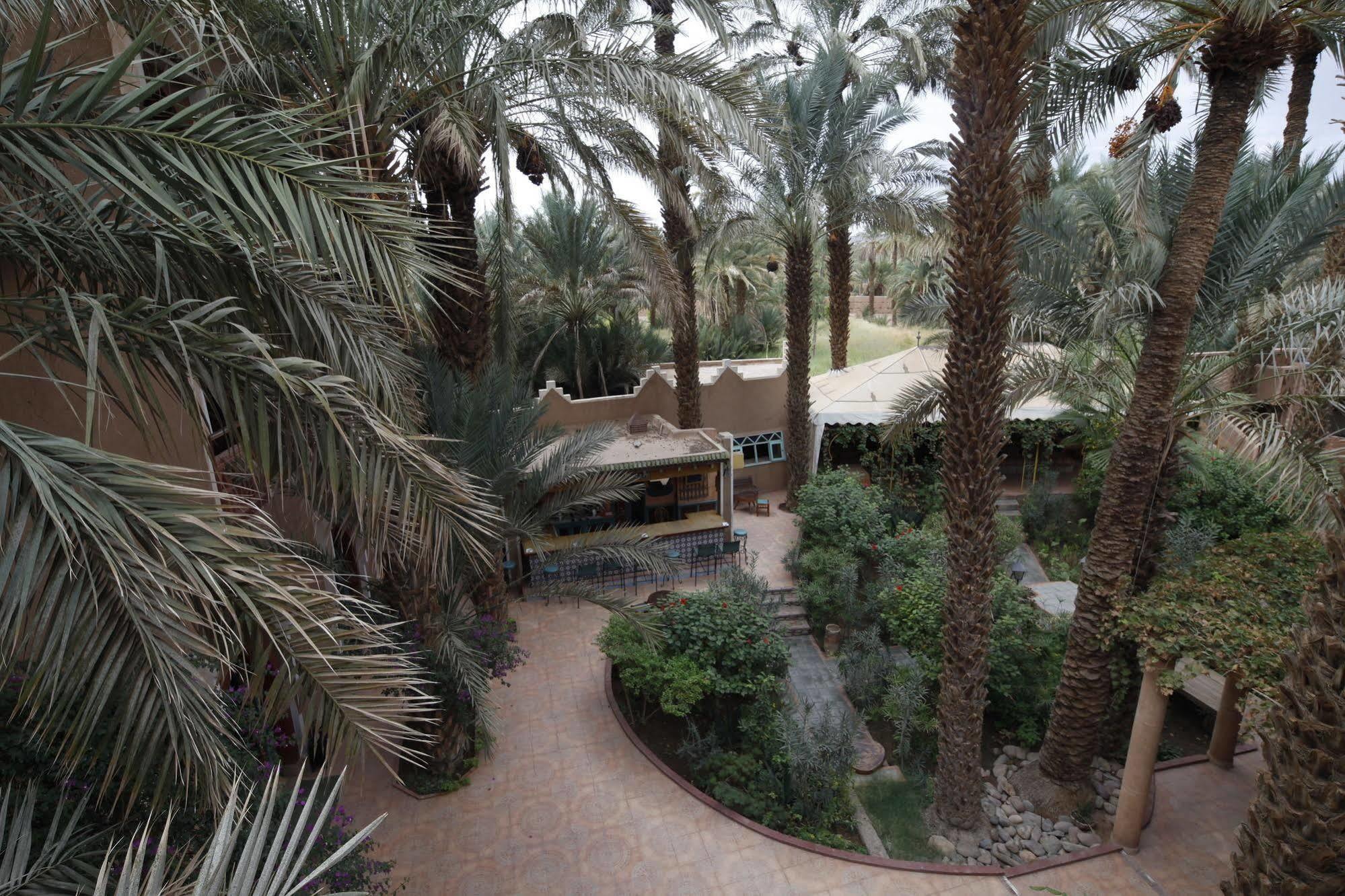 Fibule Du Draa Kasbah D'Hotes Zakura Zewnętrze zdjęcie
