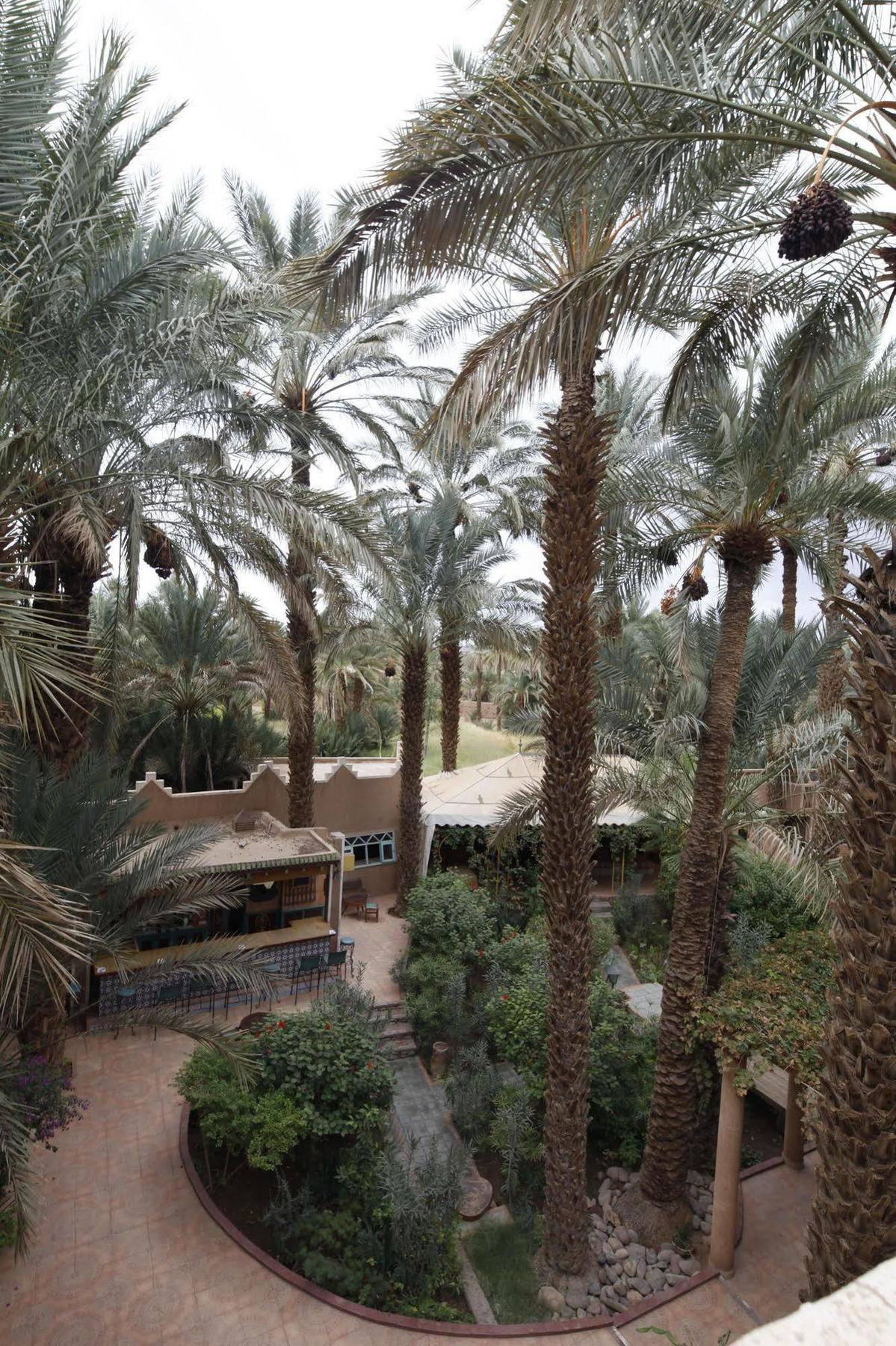 Fibule Du Draa Kasbah D'Hotes Zakura Zewnętrze zdjęcie